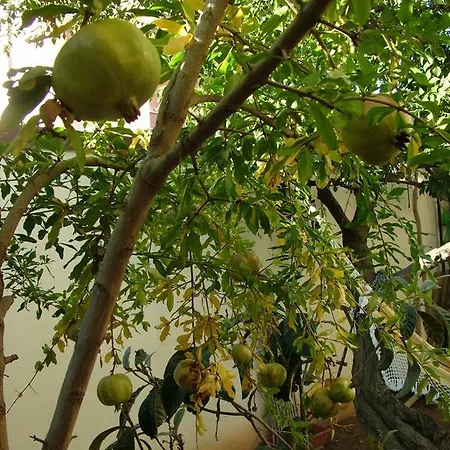 Bed & Breakfast Casa Mediterranea
